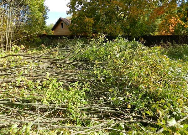 Бесхозные участки будут изыматься. Нововведения в законодательстве.