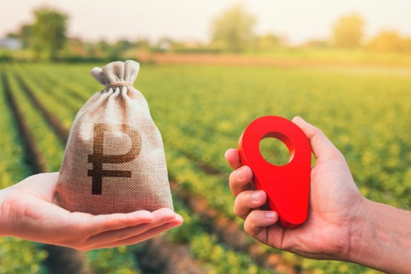 Можно ли покупать или продавать участок, если он не отмежеван?